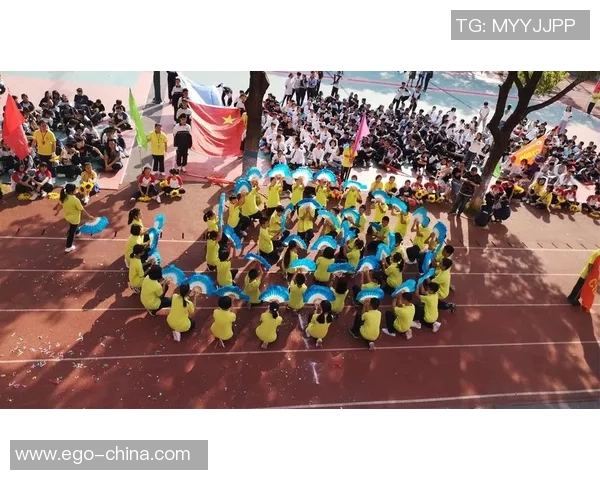 专访刘芳：探寻网球界的成功秘诀与奋斗历程